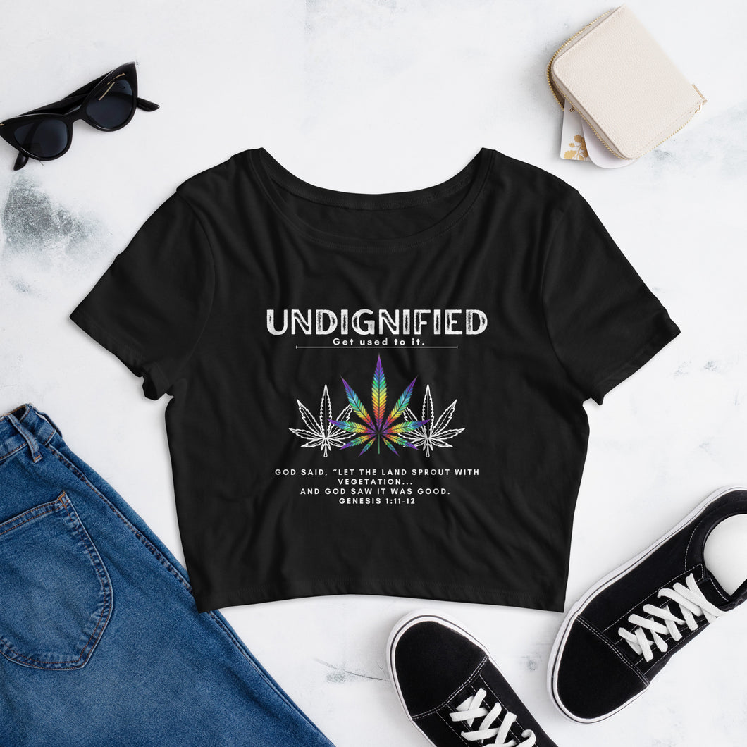 Leaves Rainbow - Women’s Crop Tee